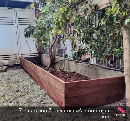 ערוגת עץ עם אדמה ועצים קטנים בגינה